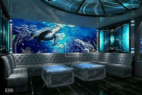 淮南ktv预订与商务ktv啥意思解析-田家庵区ktv预订